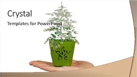  Presentation with tree - Cool new PPT theme with miniature gardens - hand and tree isolated backdrop and a  colored foreground
