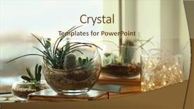  Presentation with old book - Cool new PPT layouts with miniature gardens - mini succulent garden in glass backdrop and a soft green colored foreground