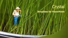  Presentation with persian miniature - PPT theme with miniature gardens - miniature gardener working background and a  colored foreground