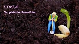  Presentation with gardens - Colorful slides enhanced with miniature gardens - miniature gardener working backdrop and a wine colored foreground