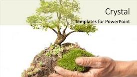  Presentation with gardens - PPT layouts featuring miniature gardens - old male hand holding background and a yellow colored foreground