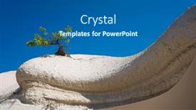  Presentation with volcanic rock - PPT theme with miniature-picturesque-green-tree-growing background and a ocean colored foreground