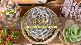  Presentation with succulent - Slide set featuring miniature-succulent-plants-succulent-cactus background and a coral colored foreground