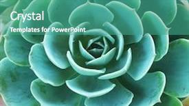  Presentation with succulent - Amazing PPT layouts having sustainable building - miniature succulent plants backdrop and a teal colored foreground