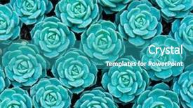  Presentation with succulent - Amazing slide deck having roof agriculture - miniature succulent plants backdrop and a teal colored foreground
