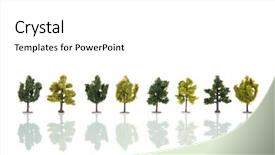  Presentation with trees - Beautiful PPT theme featuring miniature trees in row isolated backdrop and a white colored foreground