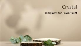  Presentation with green leaves - Presentation design having minimal-modern-product-display background and a lemonade colored foreground