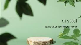  Presentation with green leaves - Slides consisting of minimal-modern-product-display background and a mint green colored foreground