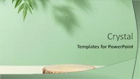  Presentation with green leaves - Presentation theme having minimal-modern-product-display background and a mint green colored foreground