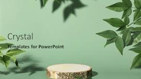  Presentation with green leaves - PPT theme featuring minimal-modern-product-display background and a mint green colored foreground