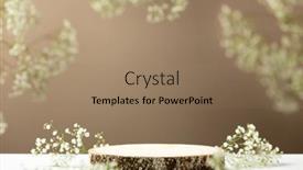  Presentation with modern flowers - Presentation design enhanced with minimal-modern-product-display background and a coral colored foreground