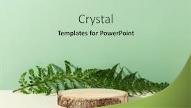  Presentation with promotion - Presentation theme consisting of minimal-modern-product-display background and a soft green colored foreground