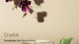  Presentation with modern flowers - Presentation featuring minimal-modern-product-display background and a lemonade colored foreground