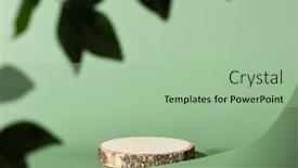  Presentation with promotion - PPT layouts having minimal-modern-product-display background and a mint green colored foreground