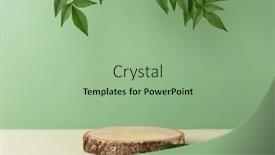  Presentation with green leaves - Theme consisting of minimal-modern-product-display and a  colored foreground