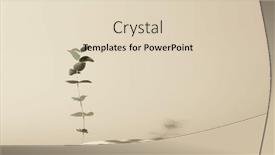  Presentation with green leaves - Presentation design having minimal-modern-product-display background and a lemonade colored foreground