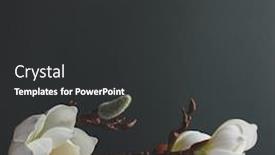  Presentation with magnolia - Colorful presentation theme enhanced with minimal-still-life-with-branch backdrop and a dark gray colored foreground