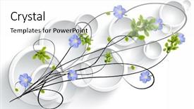  Presentation with white rose - Beautiful theme featuring minimalism paint - graphic design of round convex backdrop and a white colored foreground