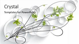  Presentation with vine - PPT layouts with minimalism paint - graphic design of round convex background and a white colored foreground