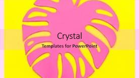  Presentation with pop art - PPT layouts enhanced with minimalism paint - pink tropical monstera leaf background and a coral colored foreground