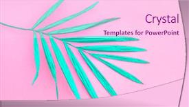  Presentation with pop art - Slide deck consisting of minimalism paint - tropical green palm leaf background and a pink colored foreground
