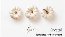  Presentation with minimalist - Beautiful slide deck featuring minimalist autumn fall concept with three white pumpkins in a row and calligraphy inspired message perfect as seasonal background banner or greeting card - flat lay top view backdrop and a white colored foreground