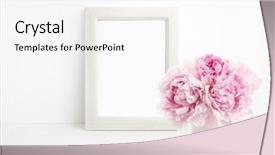  Presentation with minimalist - Slides having minimalist female mock up background and a white colored foreground