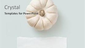  Presentation with minimalist - Presentation design with minimalist pastel colored autumn fall thanksgiving concept or greeting card with single white pumpkin on a blue background piece of blank vellum as copyspace for your text flat lay top view background and a light gray colored foreground