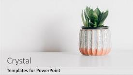  Presentation with minimalist - Audience pleasing presentation theme consisting of minimalist-scandinavian-interior-design-flower backdrop and a light gray colored foreground
