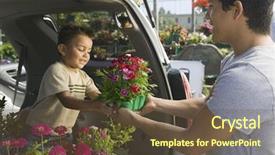  Presentation with nursery plant - Slides consisting of minivan at the plant background and a tawny brown colored foreground