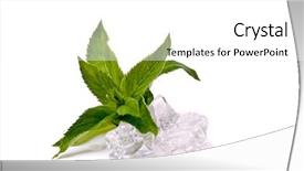  Presentation with mint - Colorful PPT theme enhanced with mint and ice backdrop and a white colored foreground