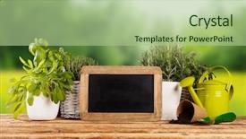  Presentation with herbs - Amazing slide deck having mint green - various kinds of fresh herbs backdrop and a mint green colored foreground