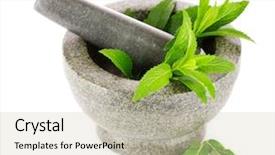  Presentation with mud mortar - Beautiful PPT layouts featuring mint in agray mortar isolated backdrop and a soft green colored foreground