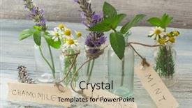  Presentation with chamomile - Slide deck consisting of mint lavender and chamomile background and a soft green colored foreground