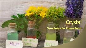  Presentation with lavender business - Slides with mint lavender and st john background and a tawny brown colored foreground