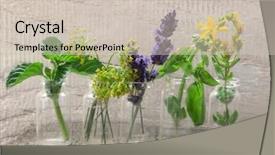  Presentation with lavender - Theme with mint lavender and st john background and a soft green colored foreground