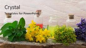  Presentation with lavender - Slide deck consisting of mint lavender and st john background and a lemonade colored foreground