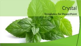  Presentation with mint - Presentation theme enhanced with mint leaf - peppermint leaves background and a yellow colored foreground