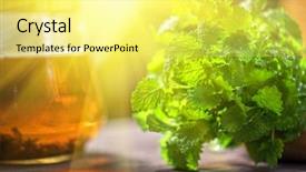  Presentation with tea leaves - Presentation enhanced with mint leaf - tea with green fresh melissa background and a yellow colored foreground