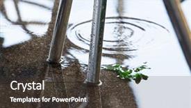  Presentation with water leaf - PPT theme consisting of mint leaf in a puddle background and a dark gray colored foreground