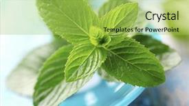  Presentation with mint - PPT theme featuring mint-leafs background and a yellow colored foreground