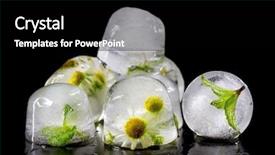  Presentation with ice frozen - PPT theme with mint leaves frozen in ice background and a black colored foreground