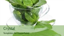 Presentation with mint - Presentation featuring mint leaves in glass cup background and a  colored foreground