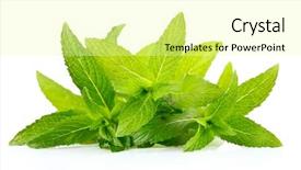  Presentation with mint - Presentation design consisting of mint leaves isolated on white background and a blonde colored foreground