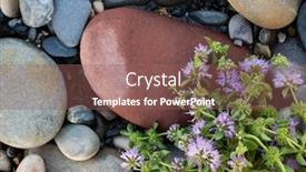  Presentation with mosquito - Beautiful PPT theme featuring mint mentha pulegium commonly european pennyroyal also called mosquito plant and pudding grass vintage stone background backdrop and a violet colored foreground