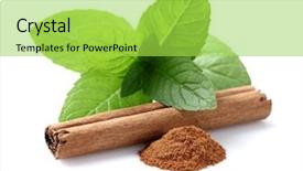  Presentation with mint - Slide deck consisting of mint with cinnamon background and a yellow colored foreground