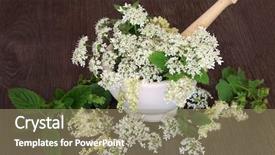  Presentation with ayurvedic medicine and nature spa - Amazing theme having mint with mortar and pestle backdrop and a coral colored foreground