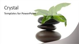  Presentation with peppermint - Cool new PPT layouts with minti green - peppermint and a stack backdrop and a white colored foreground