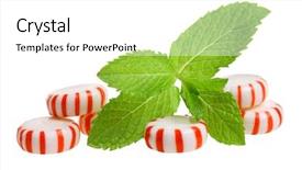  Presentation with peppermint - PPT theme featuring minti green - peppermint candies and sprig background and a white colored foreground