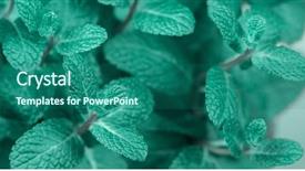  Presentation with mini power plant - Cool new PPT layouts with minti green - turquoise mint plant grow shallow backdrop and a ocean colored foreground
